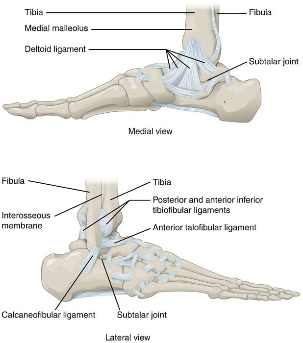 Golf Feet injury