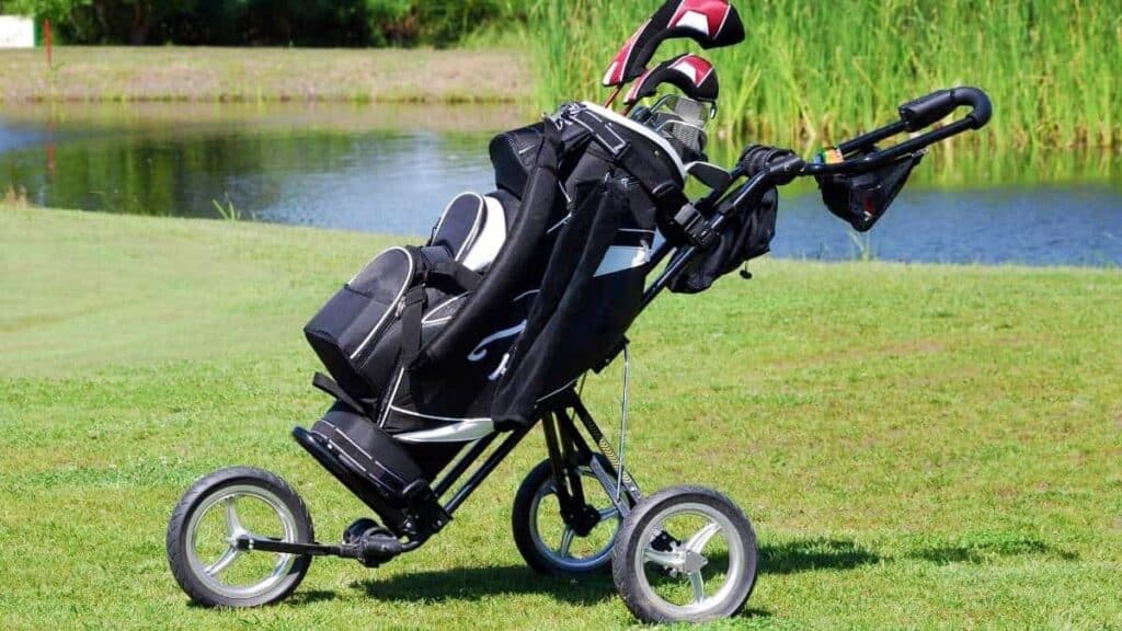 What is the best golf cart bag for the money