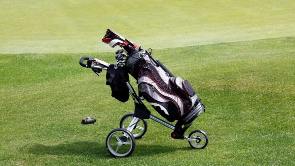 What is the best golf cart bag with full length dividers