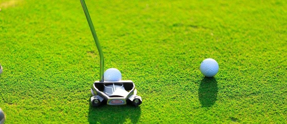 best mallet putters for the money