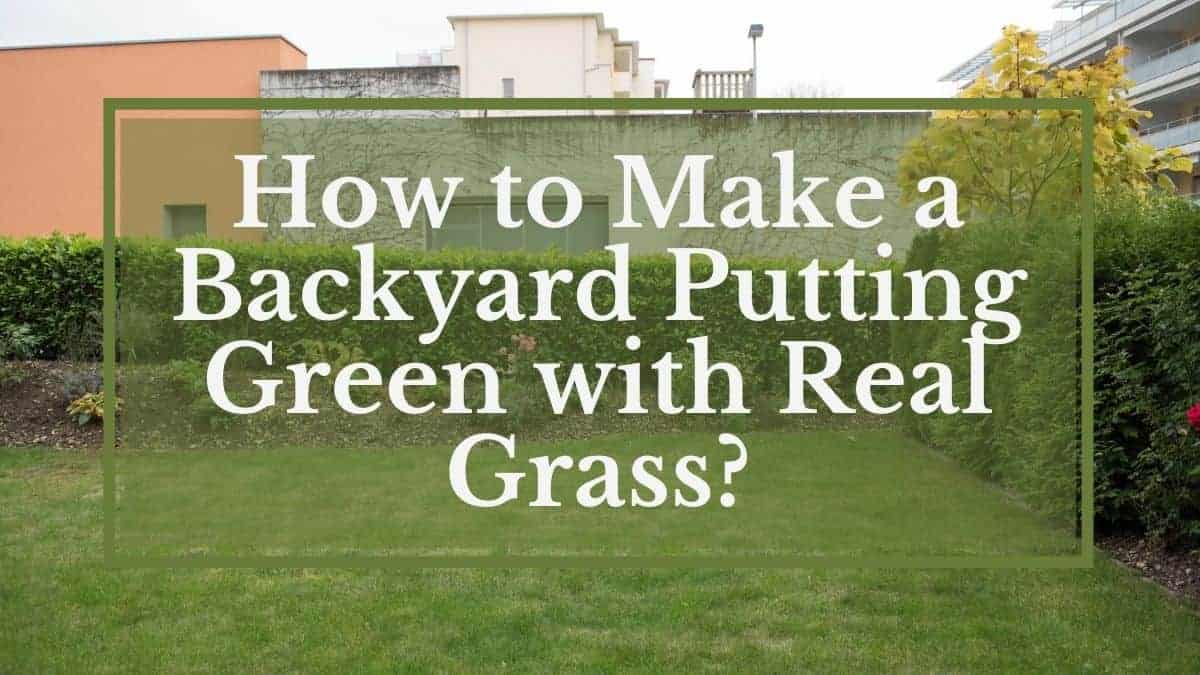 Create a Backyard Putting Green Golfs Hub