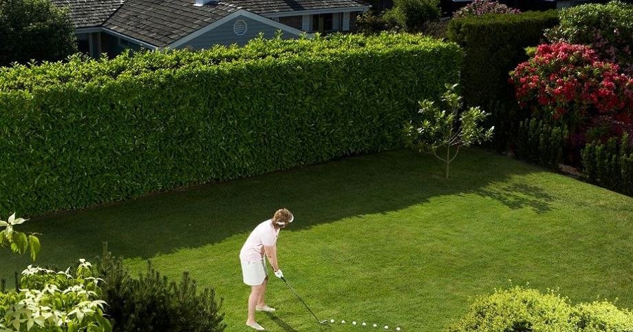 How to Make a Backyard Putting Green with Real Grass