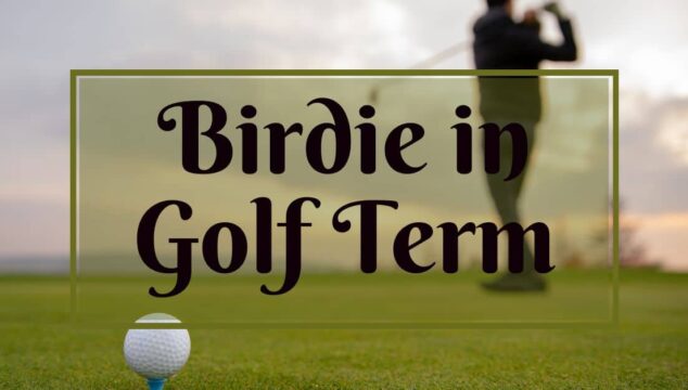 what is a birdie in golf term