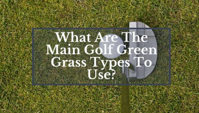 types of golf course grass