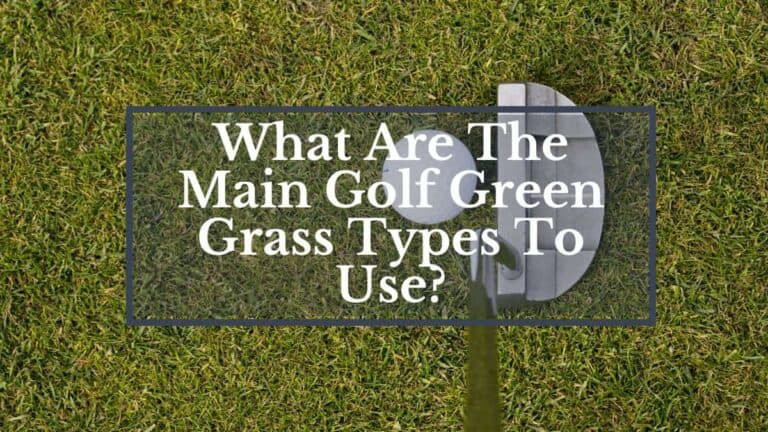 types of golf course grass