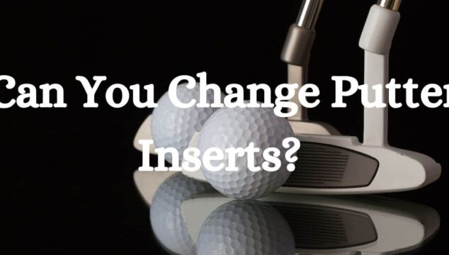 Can You Change Putter Inserts