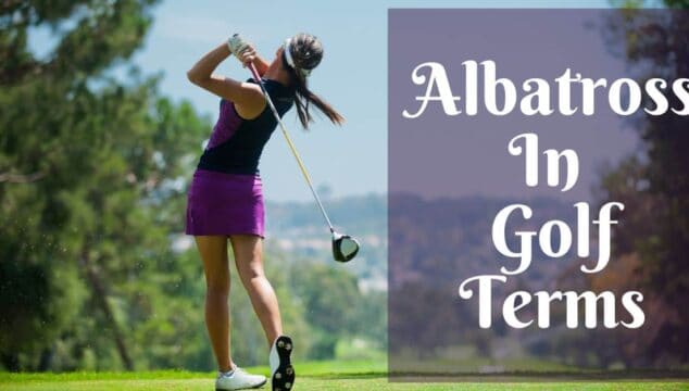 what is an albatross in golf terms