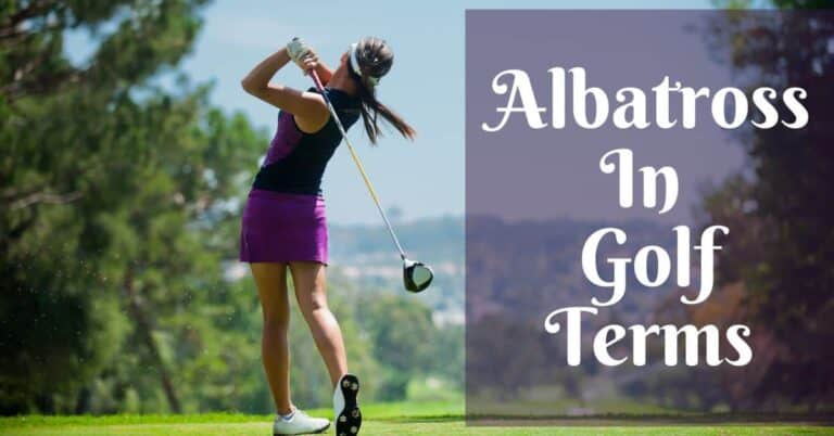 what is an albatross in golf terms