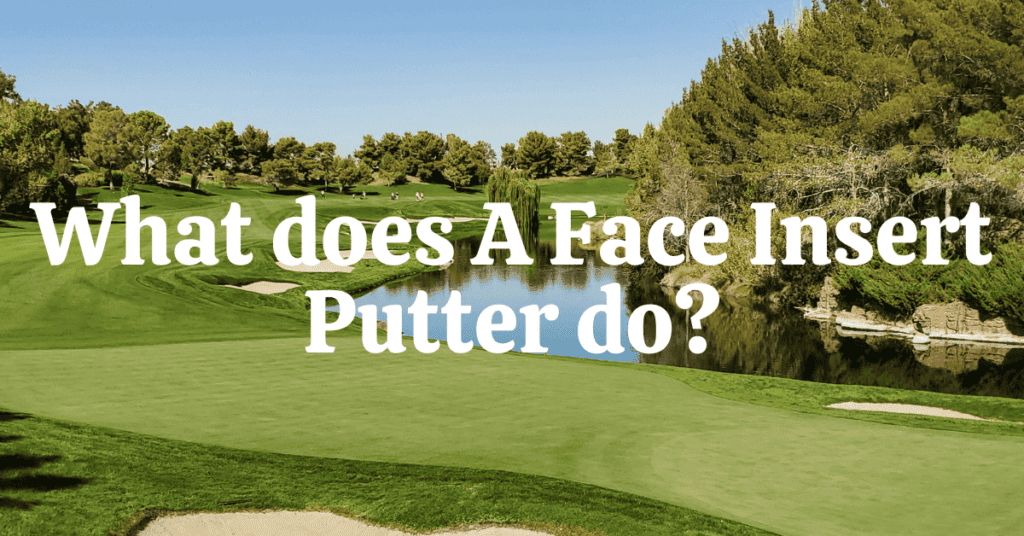 What does A Face Insert Putter do