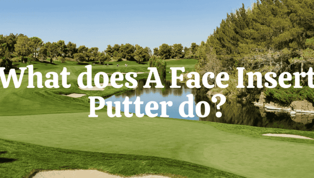 What does A Face Insert Putter do